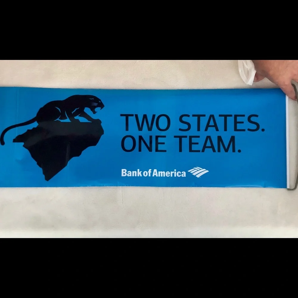 NFL carolina panthers
